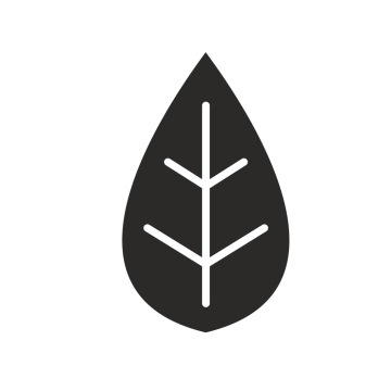 Leaf, icon, vector, logo element