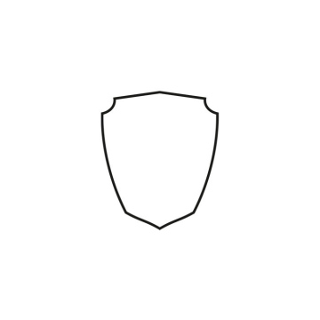 Shield Icon