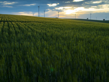 Wind Turbines In A Farmland
