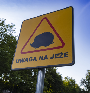 Beware of hedgehogs, road sign