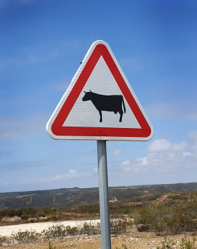 Road Sign - Attention Farm Animals