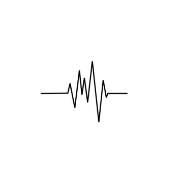 Electrocardiogram wave