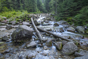 Mountain river with stones