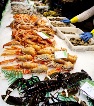 Fish and Shrimps on Targ