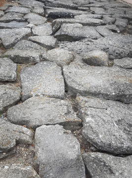 Lane With Irregular Stones