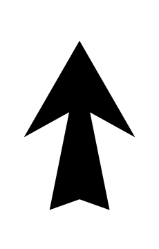 Czarna Strzałka z Ostrym Grotem