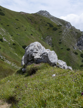 A stone on the background of the peak in the Slovakian Tatra Mountains
