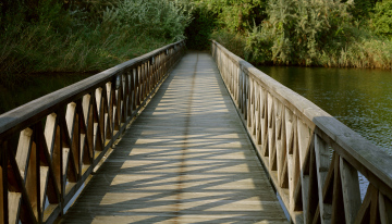 Bridge over the Pond