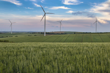 Wind Turbines in Agricultural Fields