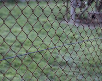 Corroded Mesh On The Fence