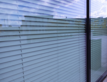 Window in an Office Building with Shutters