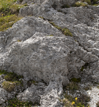 Sediment Rock
