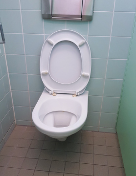 Ordinary toilet