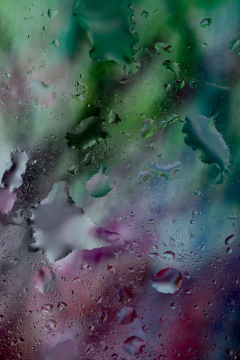 Water drops as a background