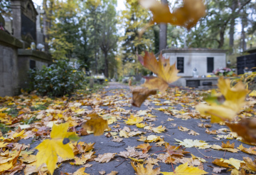 Autumn in the Cemetery, fallen leaves