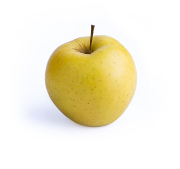 Yellow Apple on a white background