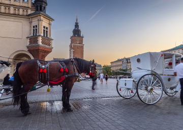 Horse-drawn carriages on the Market Square in Krakow
