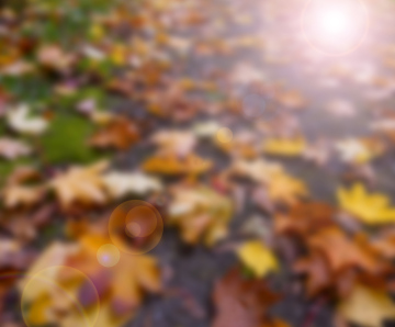 Autumn leaves blurred background