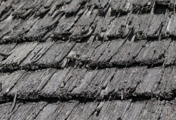 Old Shingle on the Roof
