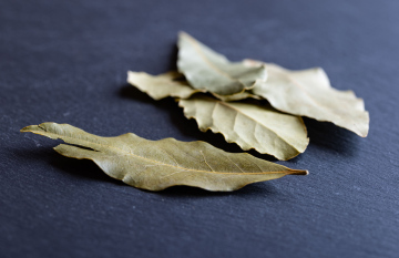 Dry Laurel Leaves