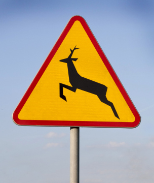 Road Sign A-18b Note Wild Animals