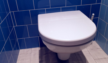 Public Toilet with Blue Tiles