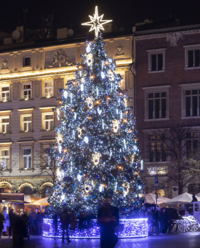 Christmas tree at the Market Square in Krakow