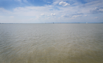 Boats on the lake