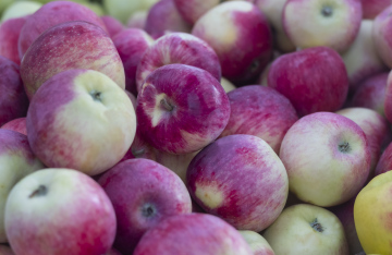 Apples for Sale