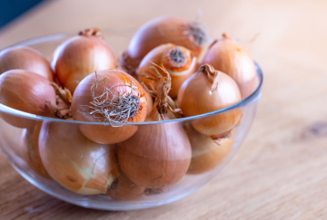 Onions in a Glass Bowl