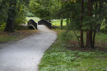 The path and the bridge in the Park