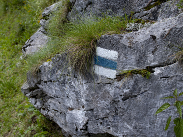 Blue Trail in the Mountains