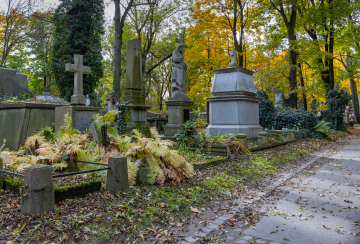The old part of the Rakowicki Cemetery