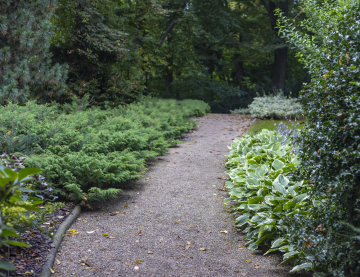 Path in the Park
