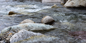Stones in the Mountain Stream
