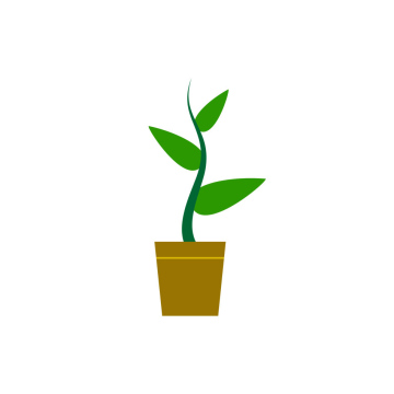 A plant in the Pot. Sdazonka icon