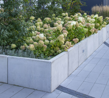 Greenery in a modern housing estate