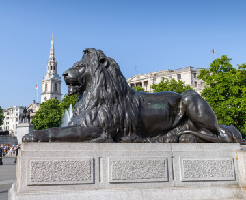 Trafalgar Square in London, a lion sculpture