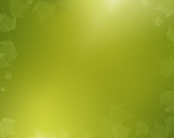 Green background for a poster, leaves theme