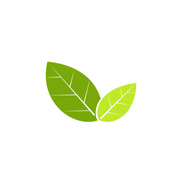 Green leaves icon
