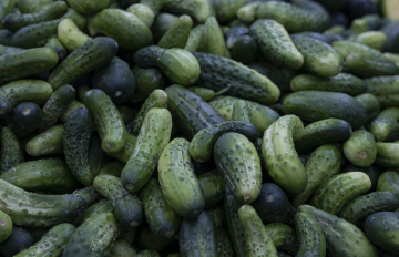Cucumbers - Generous Harvest