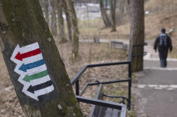 Tourist trails painted on a tree, a lonely hiker
