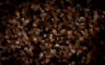 Textured background, brown abstraction