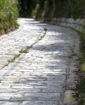 Narrow cobbled road