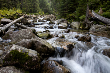 Mountain Stream with Rushing Water