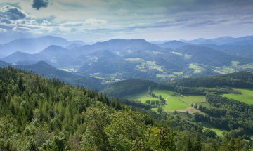 Hills Covered With Forests