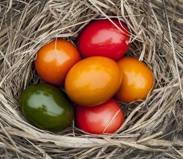 Colorful Easter Eggs On Hay