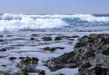 Ocean Waves and Rocky Shore