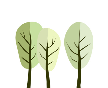 Three Deciduous Trees Vector