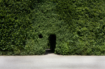 Secret Entrance In The Garden